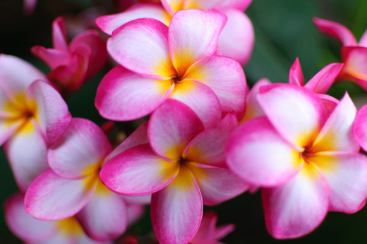 649314 (a): :2000x1330